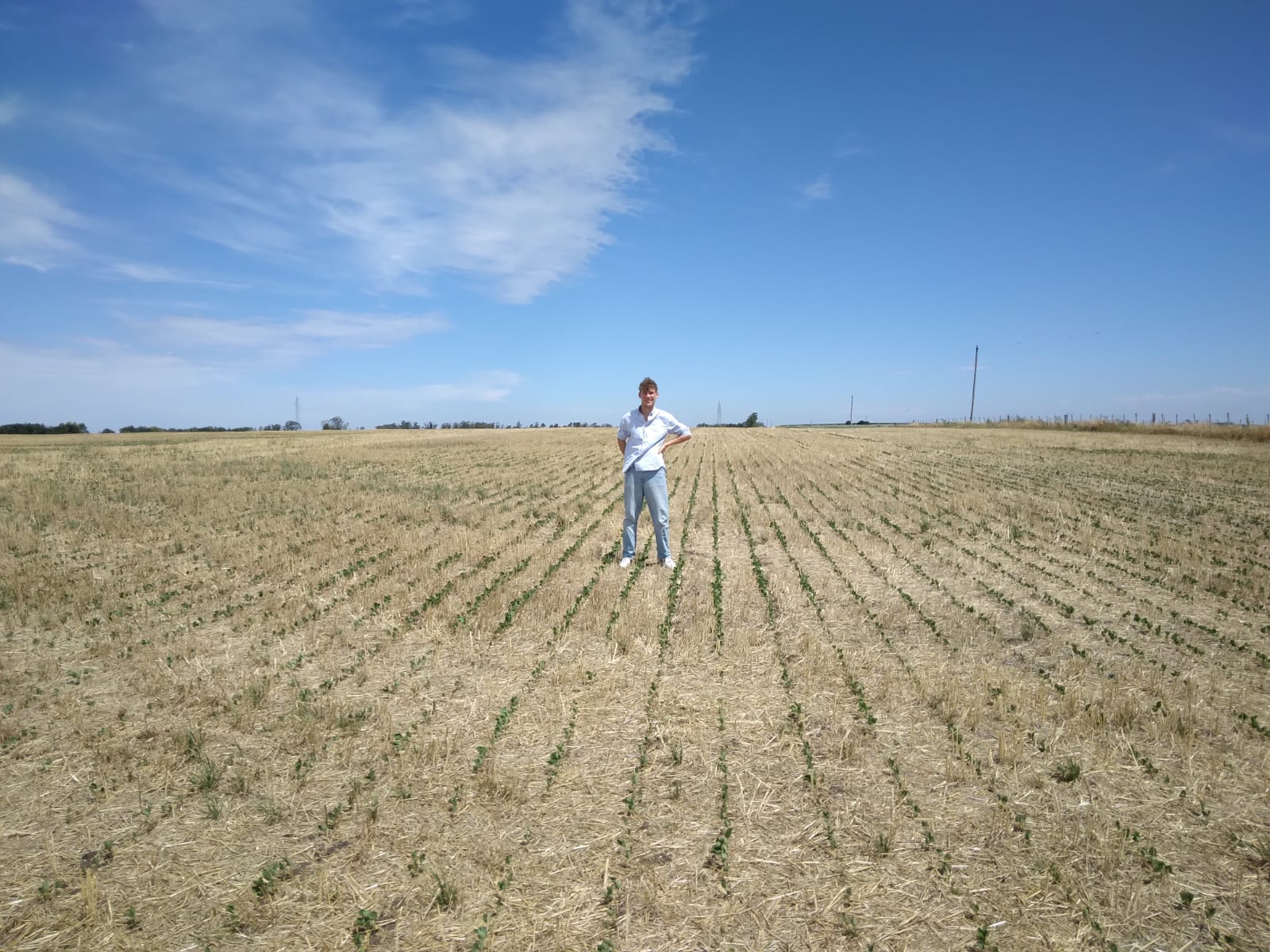 Ackerland in Uruguay für nachhaltige landwirtschaftliche Investitionen