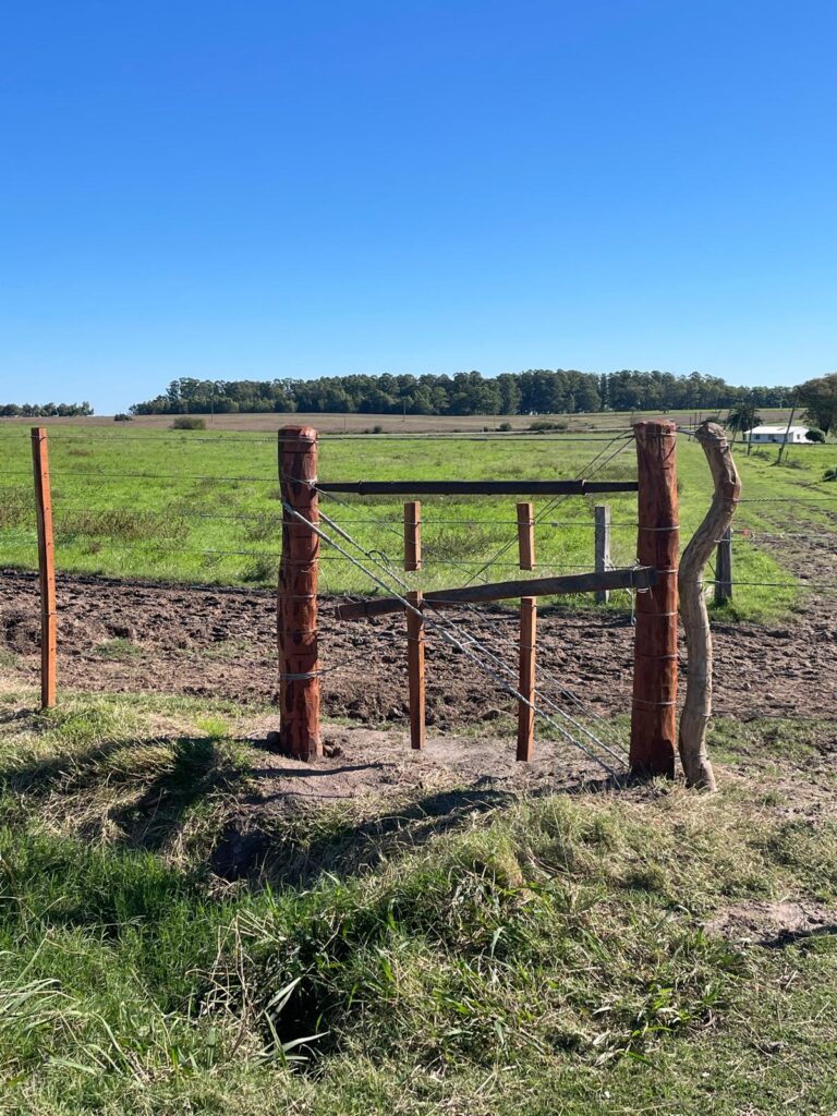 Estancia Uruguay kaufen
Ackerland Uruguay Landwirtschaft
Weideland Uruguay Farm