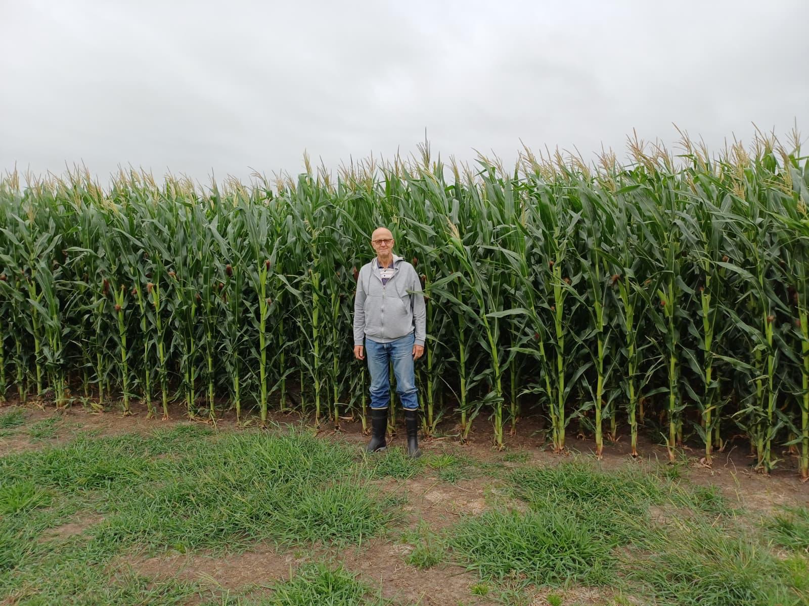 Begleitung beim Landkauf Uruguay Landwirtschaftliche Flächen