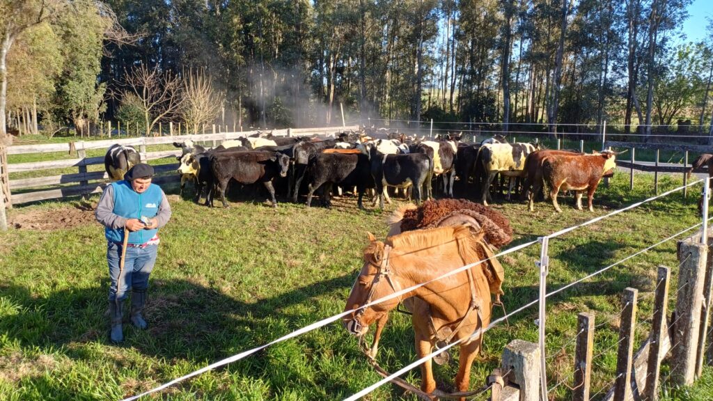 Estancia Uruguay kaufen
Ackerland Uruguay Landwirtschaft
Weideland Uruguay Farm